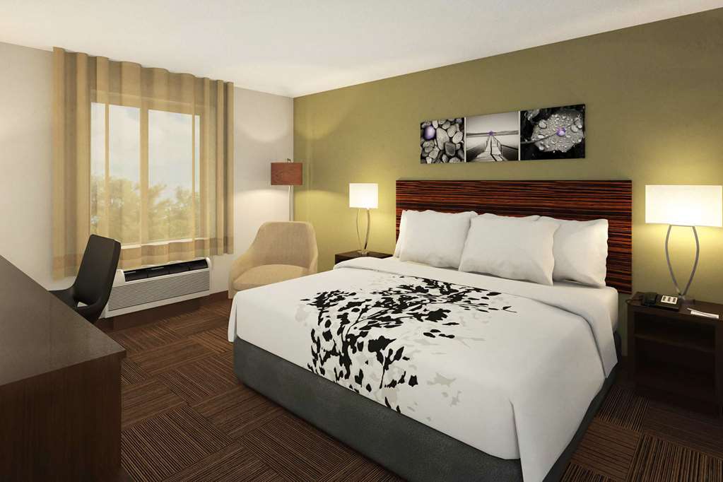 Sleep Inn & Suites Tampa South Habitación foto